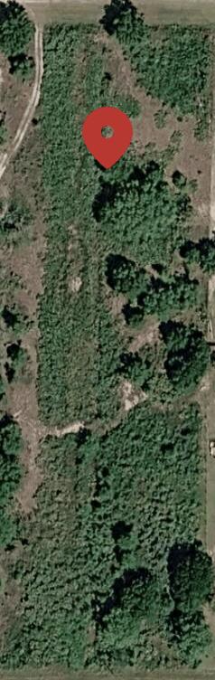 15030 NW 258th Street, Okeechobee, FL 34972 — photo 1